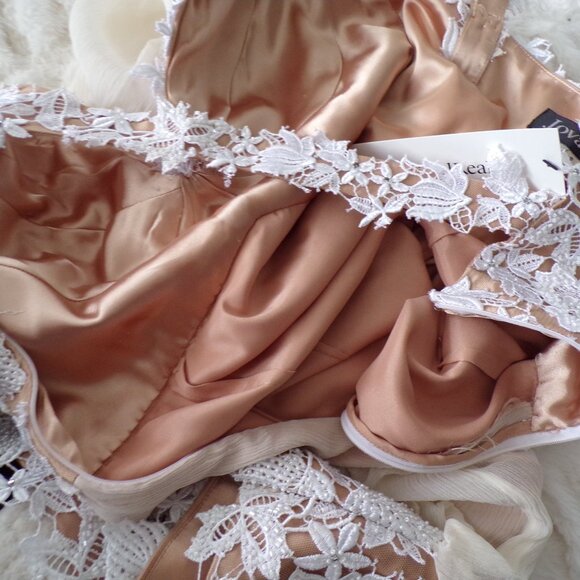 NWOT Jovani SILK mini dress 6 Pastel Spring Chic Feminine Floral Lace Romantic - Picture 9 of 11